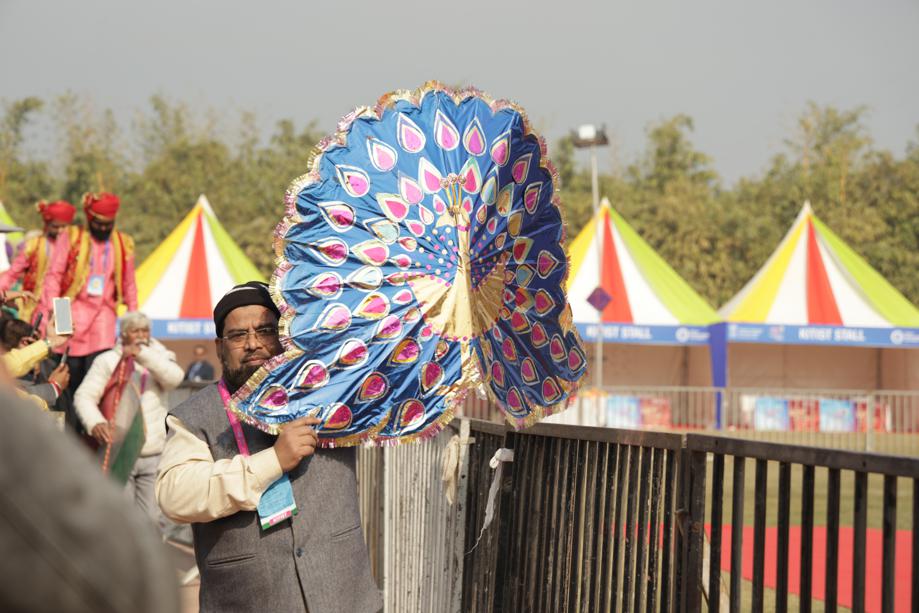 A peacock themed kite. A peacock themed kite.