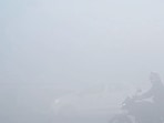 According to IMD, Safdarjung recorded zero visibility for nearly six hours between 2.30am and 8.30am. (Sunil Ghosh/HT photo)