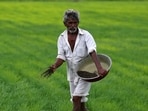 Potash refers to a group of water-soluble mined or manufactured salts that contain potassium, primarily used as fertilisers to boost plant health and crop yield. (Reuters file photo)