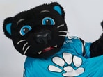 Sir Purr, the iconic mascot of the Carolina Panthers.