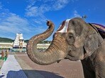 తిరుమల(TTD)