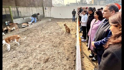 Cabinet minister Sanjeev arora during the inauguration of dog sanctuary in Ludhiana on Sunday. (HT Photo) Cabinet minister Sanjeev arora during the inauguration of dog sanctuary in Ludhiana on Sunday. (HT Photo)
