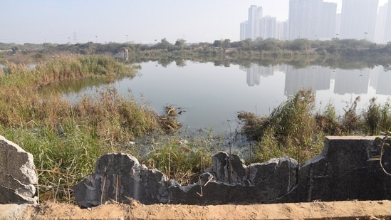The victim, Yuvraj Mehta, 27, had called his father after falling around midnight, and the father reached the spot, but could not secure help. (HT Photo)