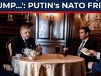 'We're not EU parrot, so Trump…': Putin's friend inside NATO shocks west 'We're not EU parrot, so Trump…': Putin's friend inside NATO shocks west