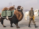 Gram it: Make way for the bactrian camel as these walk on Kartavya Path! During rehearsals for the upcoming Republic Day parade, amid dense fog on a cold winter morning at Vijay Chowk, an official of the Indian Army's Remount Veterinary Corps (RVC) guides this furry friend to march on.    