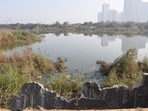 A 27-year-old man died after his car broke through the boundary of a drain and plunged into water accumulated in the basement of a mall at Sector-150. A 27-year-old man died after his car broke through the boundary of a drain and plunged into water accumulated in the basement of a mall at Sector-150.