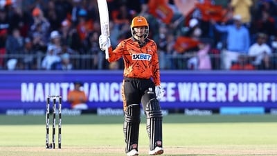 Quinton De Kock of Sunrisers Eastern Cape celebrates their half century during match 29 of the SA20 season 4 against MI Cape Town