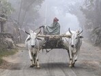 In many ways, the PMGSY has been worth every rupee. Roads built under the programme have reshaped the rural economy in fundamental ways (PTI)