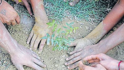 The move has come as the district authorities have sharpened their focus on environmental compliance, plantation survival, and river pollution control to ensure that afforestation drives and cleanliness campaigns are no longer assessed on paper alone. (HT Archive)