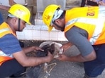(LOW RES PIC)(FILE PHOTO)Thane, India - March 6, 2020:Bird rescue in Thane, India, on Friday, March 6, 2020. (HT PHOTO)