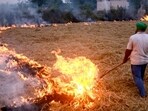 Stubble burning in Patiala of Punjab. (ANI)