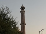 The Jama Masjid is so grand and so visible from all parts of the historic quarter that it appears to symbolise the entire Old Delhi. (HT Photo)