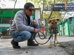 The dog, named Bhairav by the locals in Bijnor’s Nandpur village, was shifted to Shivalaya Animal Wellness Centre in Noida’s Sector 135.