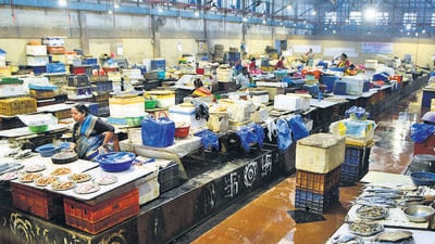 ‘BMC demolished shops to push redevelopment on builder’s say-so’: LT Market vendors ‘BMC demolished shops to push redevelopment on builder’s say-so’: LT Market vendors