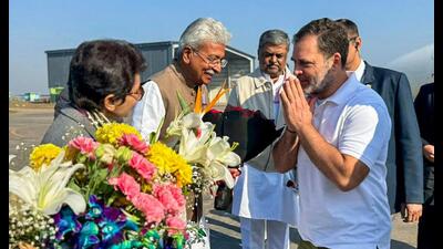 Lok Sabha LoP Rahul Gandhi being welcomed by senior Congress leaders on his arrival in Ambala on Wednesday. (ANI) Lok Sabha LoP Rahul Gandhi being welcomed by senior Congress leaders on his arrival in Ambala on Wednesday. (ANI)