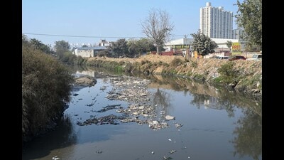 The open Badshahpur drain at Gurugram-Pataudi Road near Sector 37D, as seen on Tuesday. (Parveen Kumar/HT) The open Badshahpur drain at Gurugram-Pataudi Road near Sector 37D, as seen on Tuesday. (Parveen Kumar/HT)