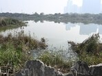 A letter written by developer MZ Wiztown Planners to the Noida Authority in March 2022 flagged the collapse of the sewer and main drain lines and warned that “any accident can happen” at the water-filled excavation site in Sector 150 owned by the company, PTI reported on Wednesday, citing people familiar with the matter. (HT Photo)