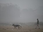 Morning walkers brave the chill and thick haze at Sector 11 near Mini Secretariat in Gurugram on Tuesday. (Parveen Kumar/HT) Morning walkers brave the chill and thick haze at Sector 11 near Mini Secretariat in Gurugram on Tuesday. (Parveen Kumar/HT)