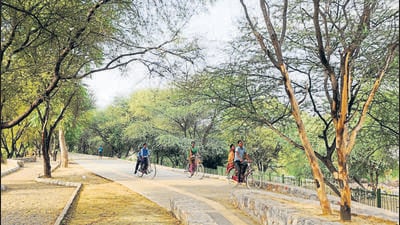 Gurgaon, India- July 22: After finding discrepancies in Chakkarpur project execution, forest department on Thursday has cancelled the permission of bundh restoration project which was earlier given to the Haryana Urban Development Authority (Huda), in Gurgaon, India, on Friday, 22 July 2016. (Photo by Parveen Kumar/Hindustan Times)