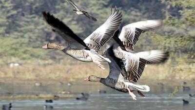 The facility will also enhance the park’s educational outreach and visitors, said forest department officials on Thursday. (Sanjeev Verma/HT PHOTO) The facility will also enhance the park’s educational outreach and visitors, said forest department officials on Thursday. (Sanjeev Verma/HT PHOTO)