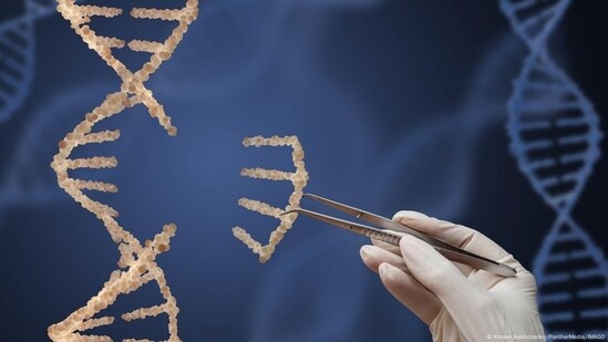 Genomics (Roman Ivashchenko/PantherMedia/IMAGO)