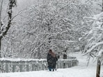A woman walking through snowfall on the outskirts of Srinagar on Friday. Most parts of the Kashmir Valley received fresh snowfall, including the season’s first in Srinagar city, leading to the closure of the highway to Jammu and cancellation of nearly 20 flights. (Waseem Andrabi/HT)