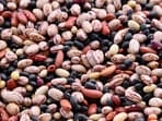 Read more to find out why refried beans are one of the best things you can for better gut health.