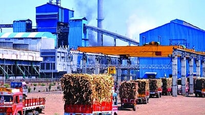 The Raiyam sugar mill in Darbhanga (X /Nalanda_index) The Raiyam sugar mill in Darbhanga (X /Nalanda_index)
