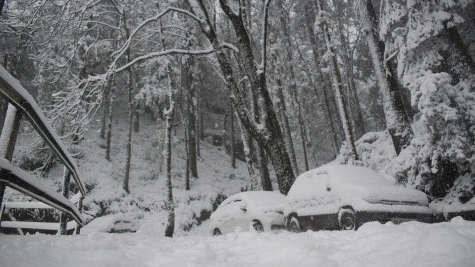 Life at a standstill on a snow-covered stretch in Shimla on Friday afternoon. (Deepak Sansta/HT) Life at a standstill on a snow-covered stretch in Shimla on Friday afternoon. (Deepak Sansta/HT)