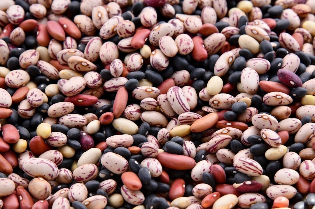 Add beans to your diet! (Picture credit: Unsplash)