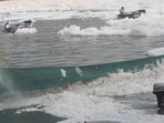 The water disruption is triggered by contamination in the Yamuna. 