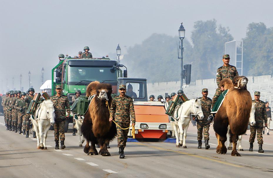 The Indian Army's specially curated animal contingent. (Photo: ANI) The Indian Army's specially curated animal contingent. (Photo: ANI)