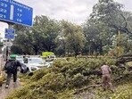 As many as 13 poles in Panchkula and 70 in Kalka were damaged. (HT File) As many as 13 poles in Panchkula and 70 in Kalka were damaged. (HT File)