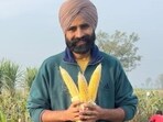 Farmer Sharanveer Singh with hybrid maize seeds harvested under a field trial by Indian Institute of Maize Research (IIMR) in December. (HT Photo)