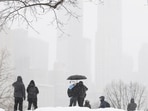 People take photos in Central Park during a winter storm, Sunday, Jan. 25, 2026, in New York.