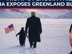 China has taken a sharp dig at the United States after the White House posted a viral penguin meme to promote its Greenland ambitions on X China has taken a sharp dig at the United States after the White House posted a viral penguin meme to promote its Greenland ambitions on X