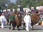 India celebrated Republic Day 2026 with a grand Kartavya Path parade that featured a Bactrian camel, black kites and trained indigenous dogs. India celebrated Republic Day 2026 with a grand Kartavya Path parade that featured a Bactrian camel, black kites and trained indigenous dogs.