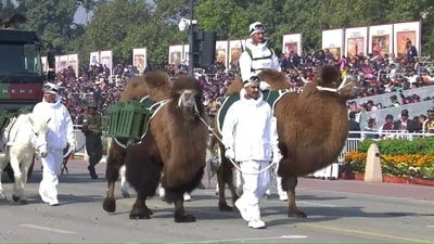 India celebrated Republic Day 2026 with a grand Kartavya Path parade that featured a Bactrian camel, black kites and trained indigenous dogs. (Source: DD) India celebrated Republic Day 2026 with a grand Kartavya Path parade that featured a Bactrian camel, black kites and trained indigenous dogs. (Source: DD)
