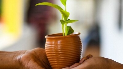 Green finance (Pixabay) Green finance (Pixabay)