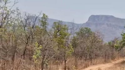 ప్రతీకాత్మక చిత్రం ప్రతీకాత్మక చిత్రం