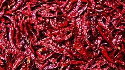 మిర్చి ధరలు మిర్చి ధరలు