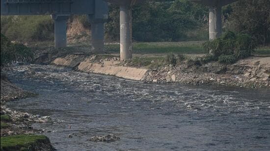 The stretch from Wazirabad to Okhla is the most polluted. (HT Archive)