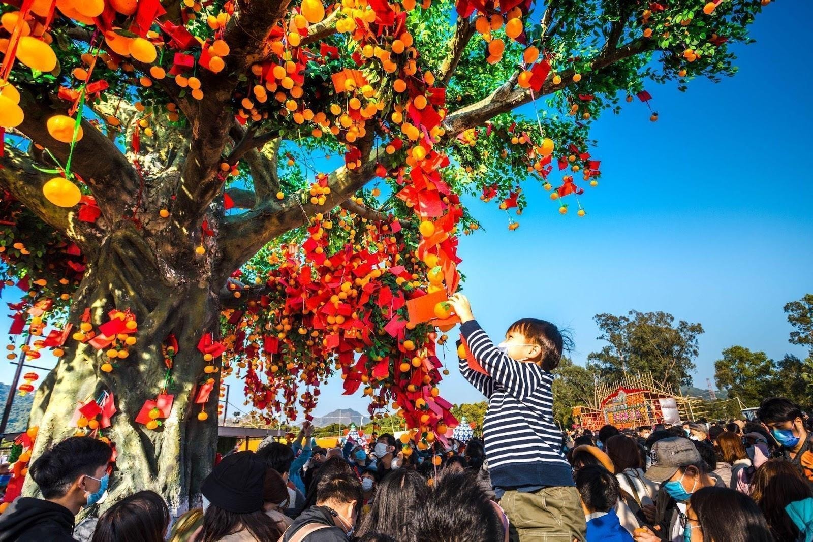 The Lam Tsuen Well-Wishing Festival The Lam Tsuen Well-Wishing Festival