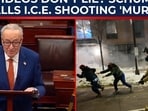 Schumer explodes after ICE Minnesota shooting as Trump aides blame Democrats 