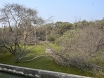 Manmeet Singh, a resident, said mature trees were dying in the green belt outside Sector 150. “It is a prime example of how the Noida Authority is failing to handle the sewage and rainwater.” (Sunil Ghosh/HT Photo) Manmeet Singh, a resident, said mature trees were dying in the green belt outside Sector 150. “It is a prime example of how the Noida Authority is failing to handle the sewage and rainwater.” (Sunil Ghosh/HT Photo)