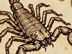 Scorpio Horoscope Today: Read our expert astrological predictions to find out what the stars have in store for you.

