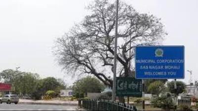 At present, Mohali does not have a formal or organised garbage collection mechanism. (HT Photo) At present, Mohali does not have a formal or organised garbage collection mechanism. (HT Photo)