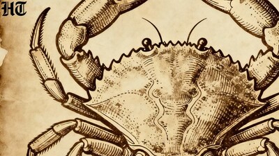 Cancer Horoscope Today: Read our expert astrological predictions to find out what the stars have in store for you.