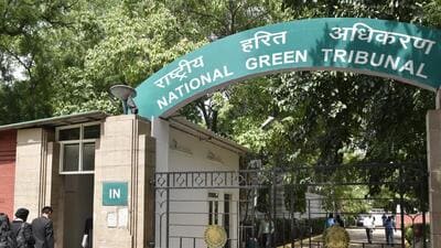 Subsequently, in August, the NGT had issued notices to both the DPCC and MCD, seeking action on the issue. (Hindustan Times) Subsequently, in August, the NGT had issued notices to both the DPCC and MCD, seeking action on the issue. (Hindustan Times)