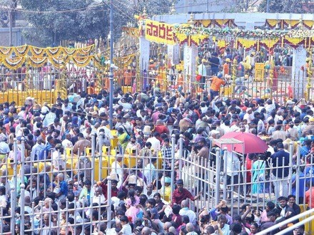 మేడారం జాతర